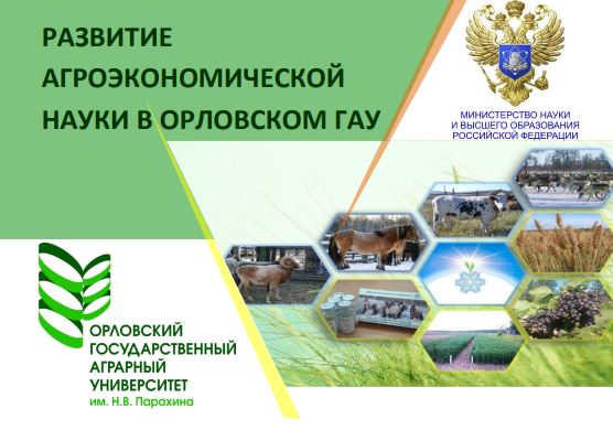 Развитие.JPG